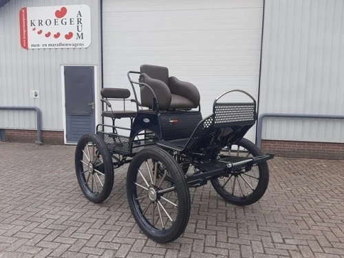 Excellent professional enkelspan paard - VERKOCHT