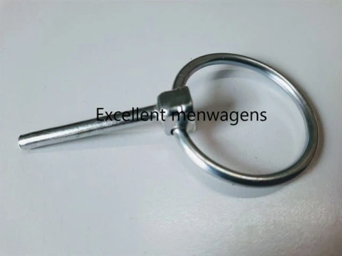 Lamoen borgpen