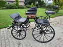 Pony Spider model 2020