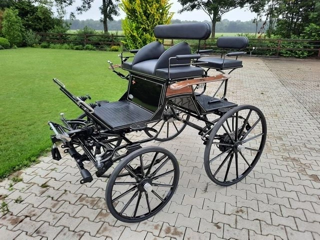 Pony Spider model 2020