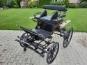 Pony Spider model 2020
