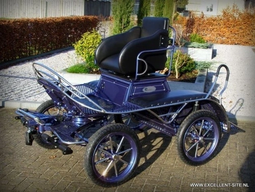 MR 45 Shetty Sport
