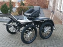 X5 Enkelspan Pony