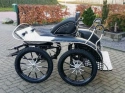 X5 Enkelspan Pony