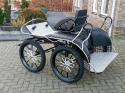 X5 Enkelspan Pony
