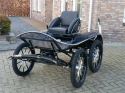 X5 Enkelspan Pony