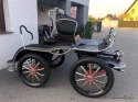 Astria Tweespan wagen