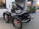Astria Tweespan wagen