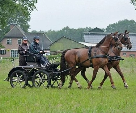 Over ons 1